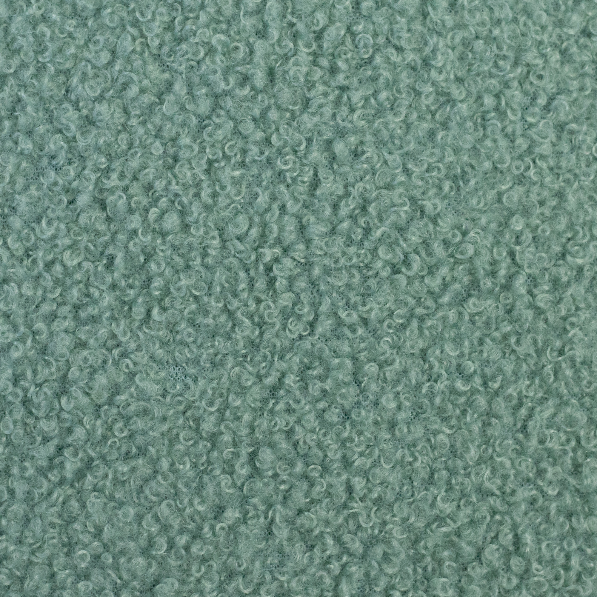 Teddy, Teddyboucle-Fleece