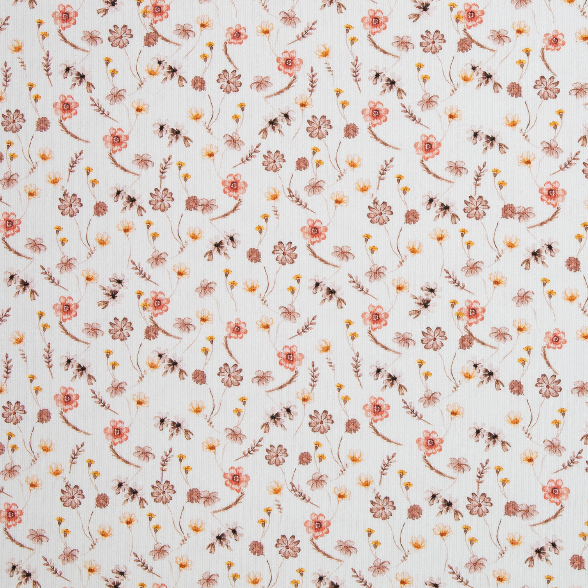 Frieda by Christiane Zielinski, Rippjersey