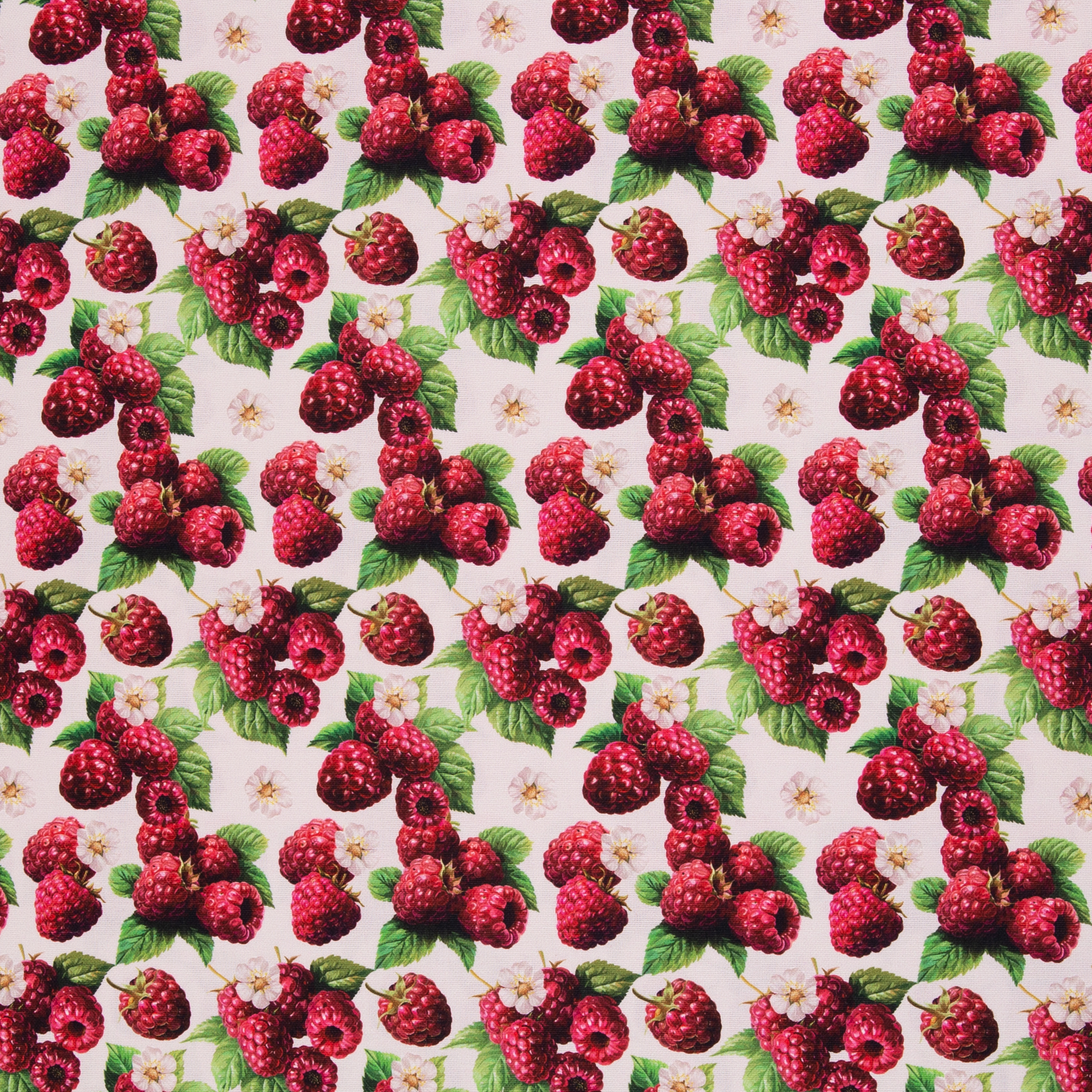 Matteo – Canvas mit Himbeeren-Motiv in Hellrosa (557430), 40 cm-Ausschnitt