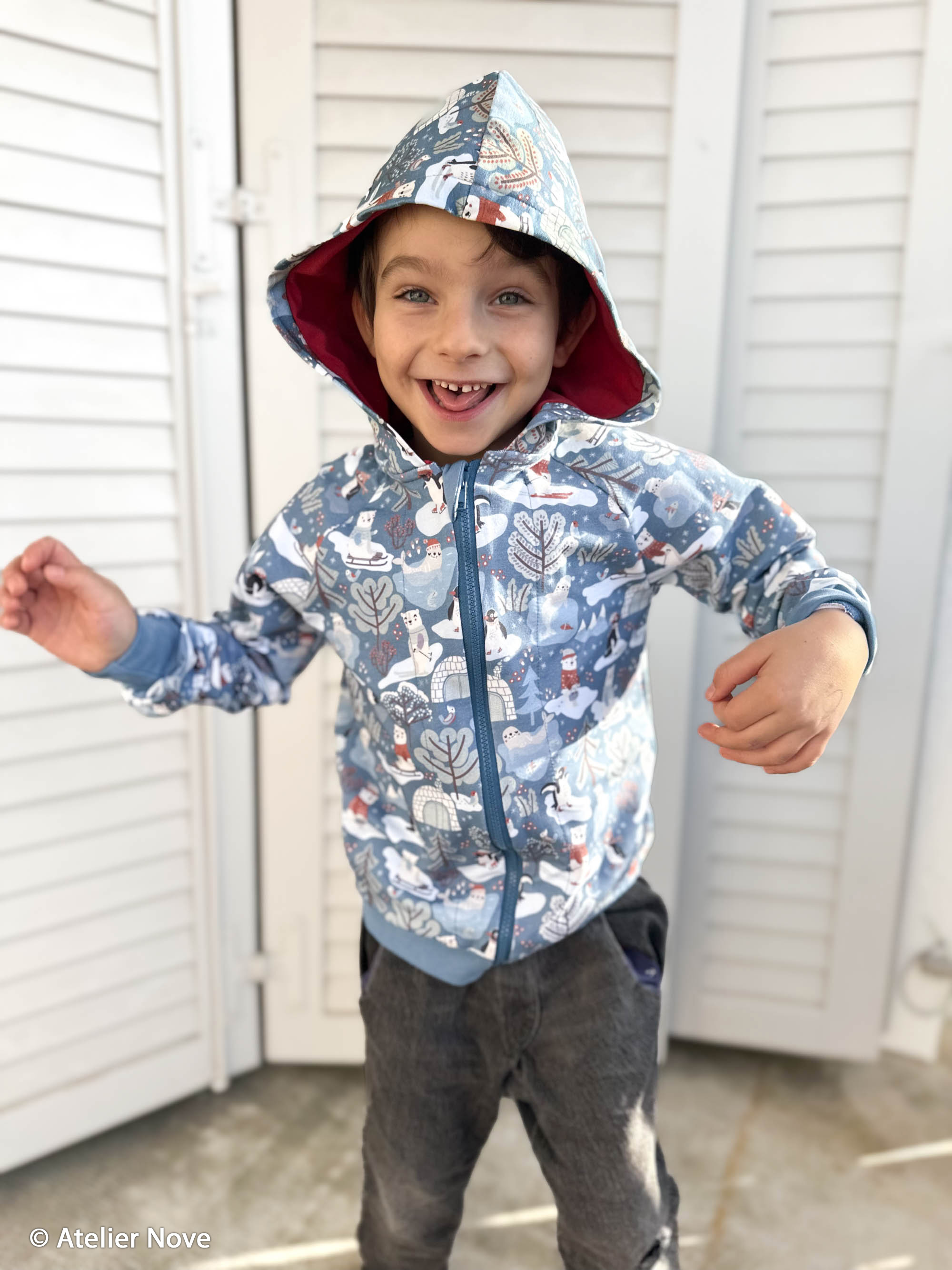 865258 Tiere, Winterlandschaft, provincial