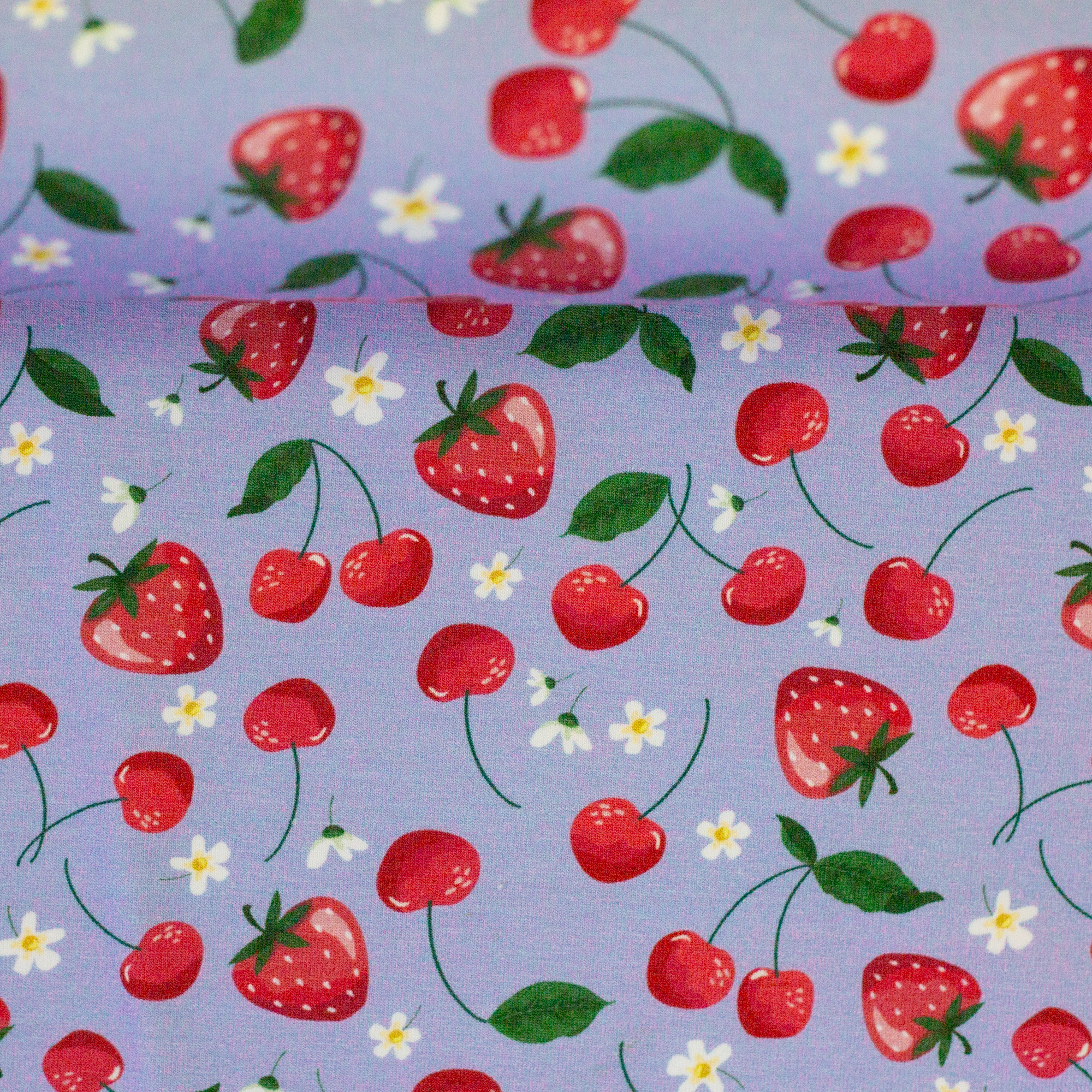 Melody, Jersey Baumwolle