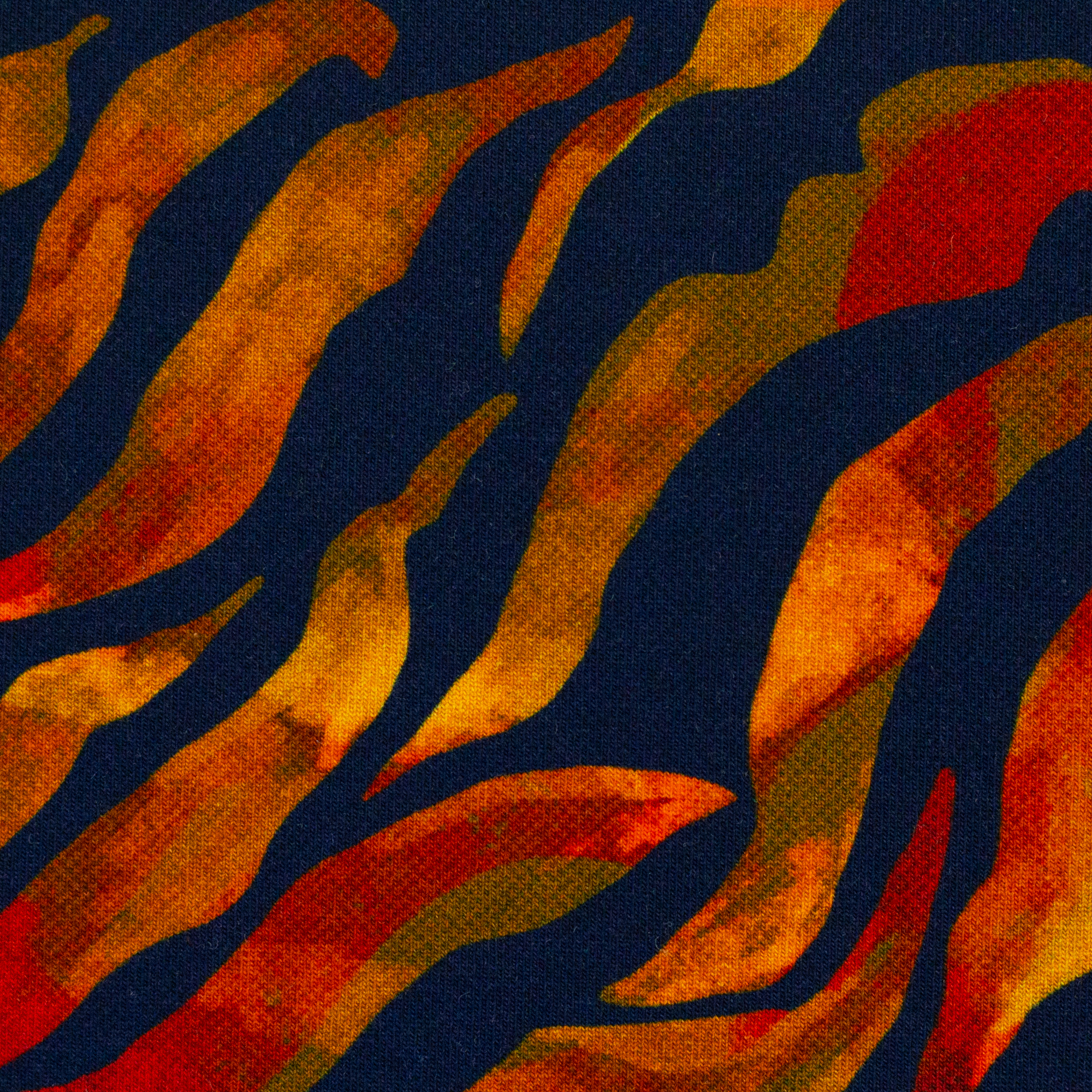 Luminoso by Bienvenido Colorido, Cotton Jersey