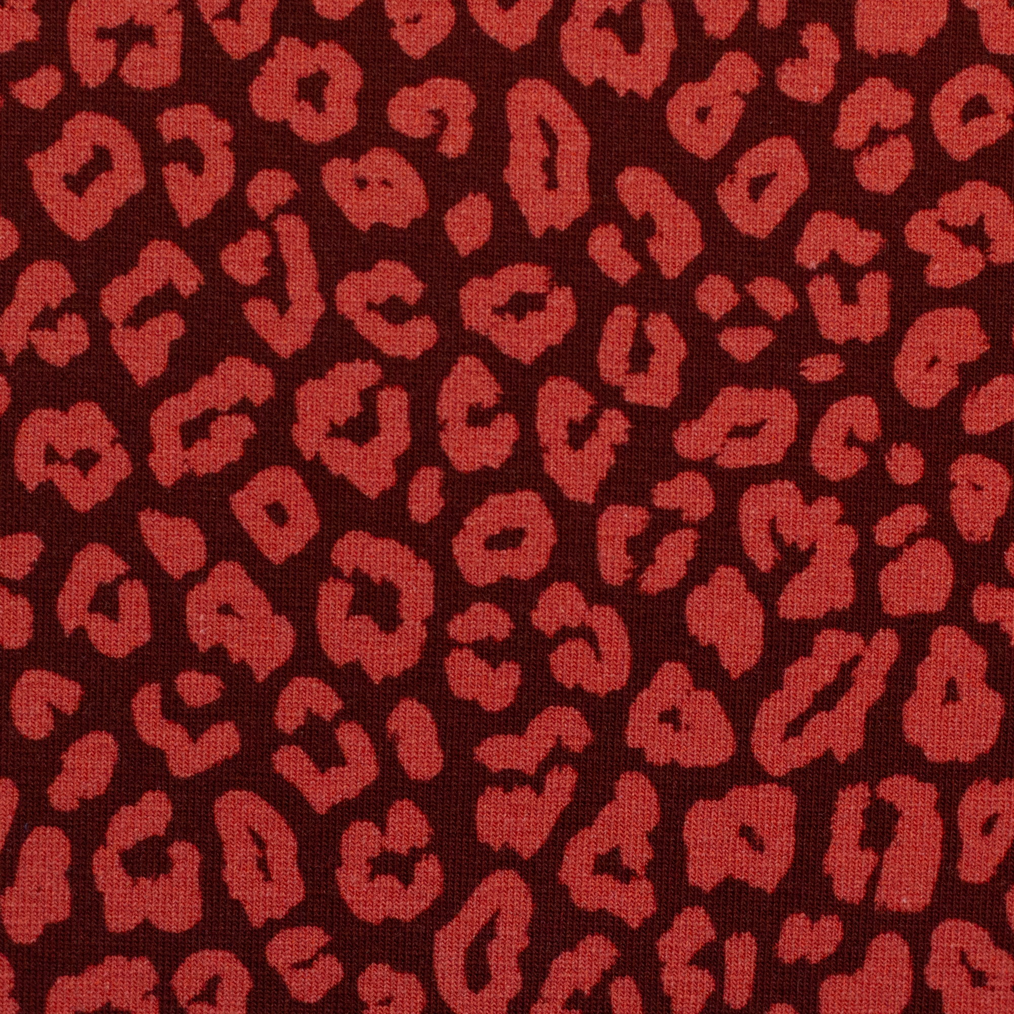 Cleopatra, Cotton Jersey Cleopatra, Cotton Jersey