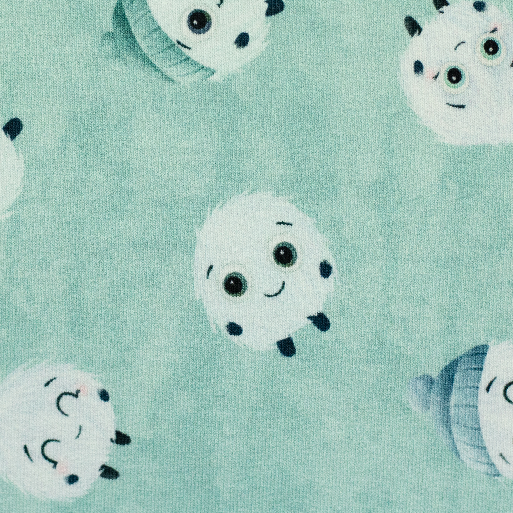 412261 Fluffy with hat, mint green