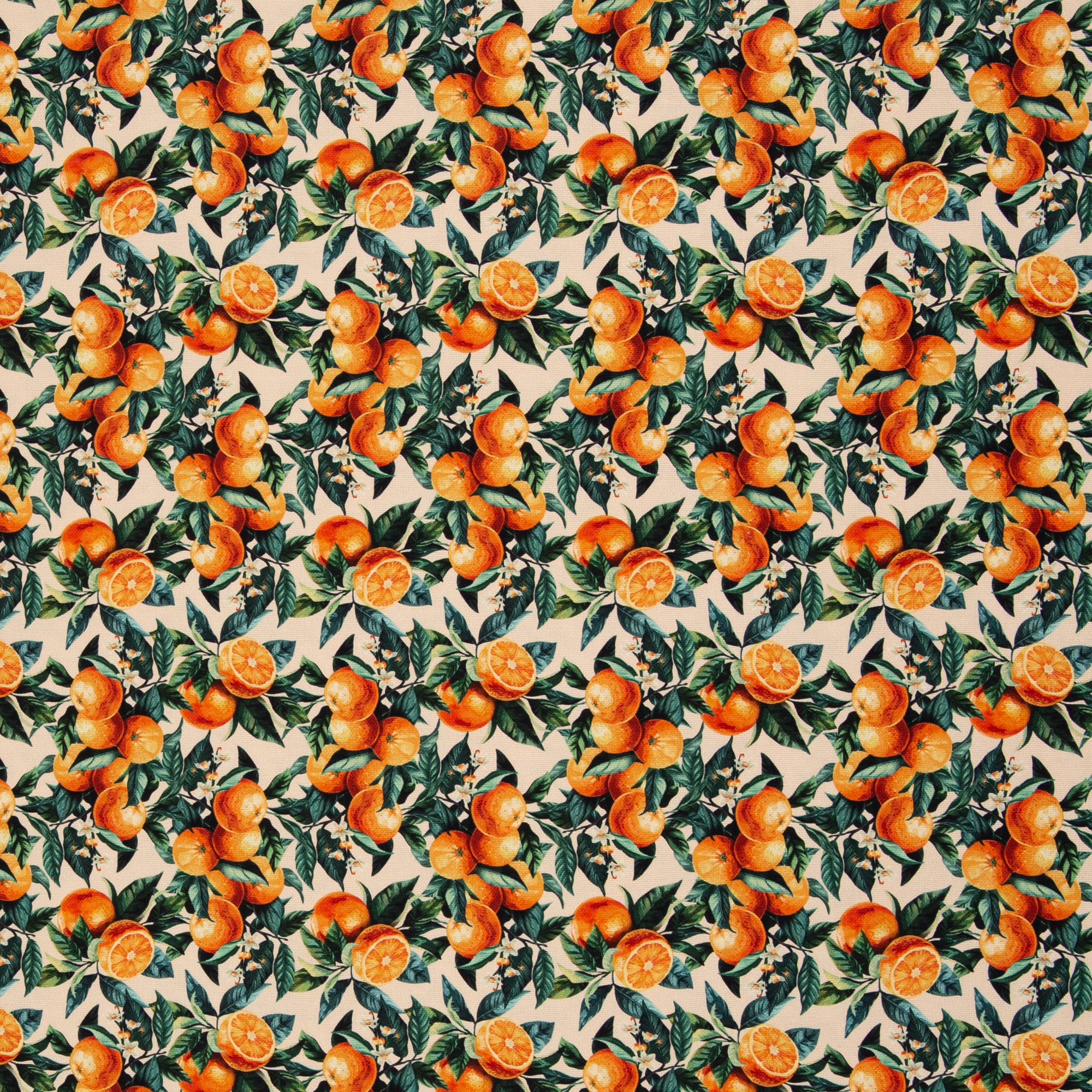 Matteo – Canvas mit Orangen-Motiv in Orange/Hellbeige (554170), 40 cm-Ausschnitt