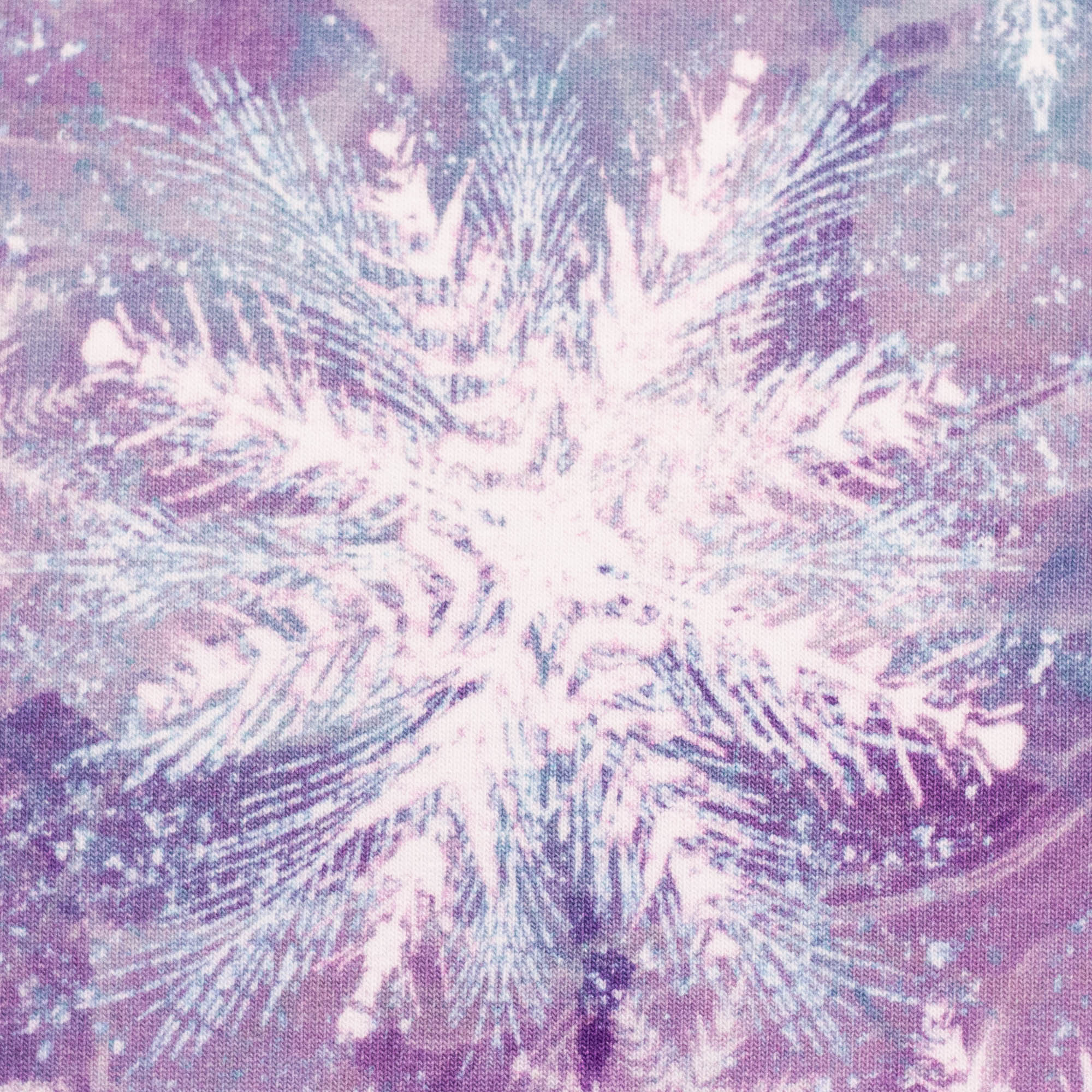 Eisblumen by Christiane Zielinski, French Terry