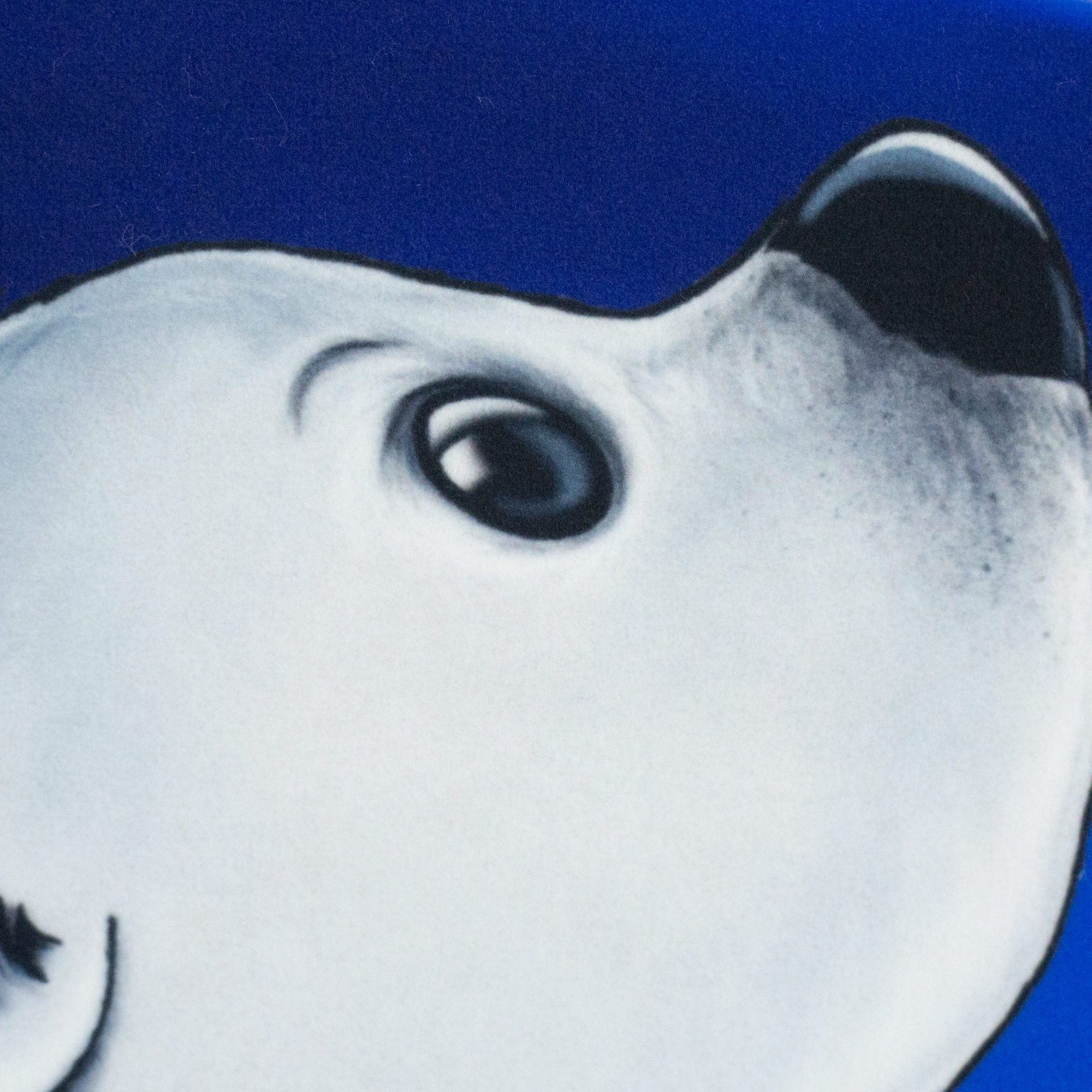 On The Rocks Pillows by Thorsten Berger **Panel ca. 105cm**, Samt