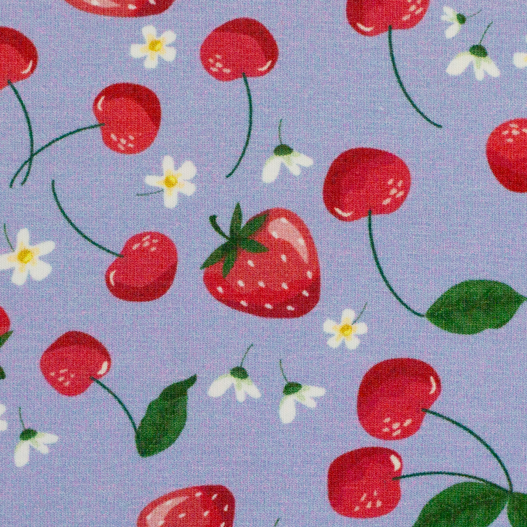 Melody, Jersey Baumwolle