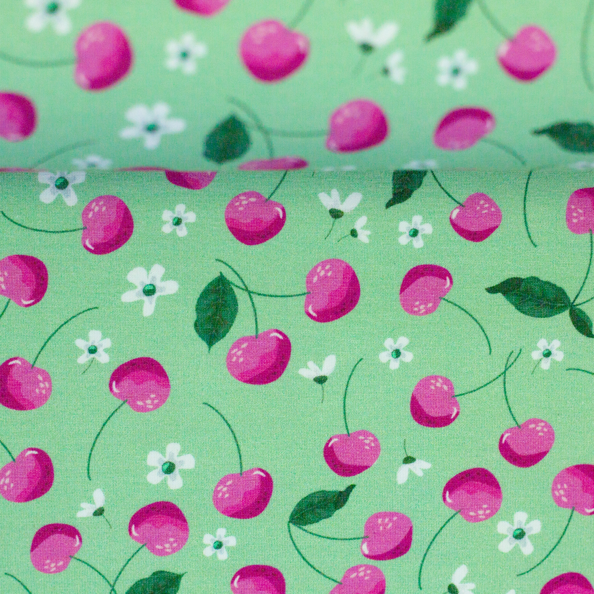 Melody, Jersey Baumwolle