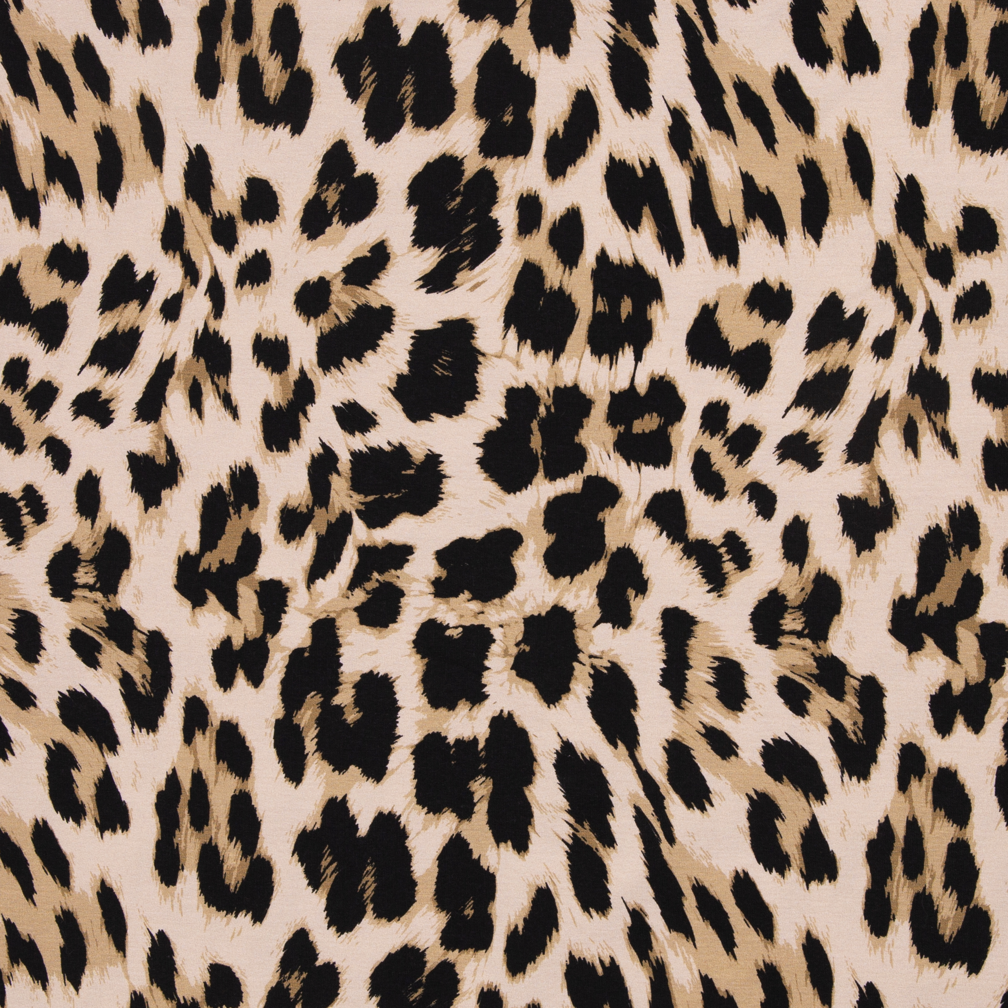 Geoluxe Plain Leo by ki-ba-doo, French Terry