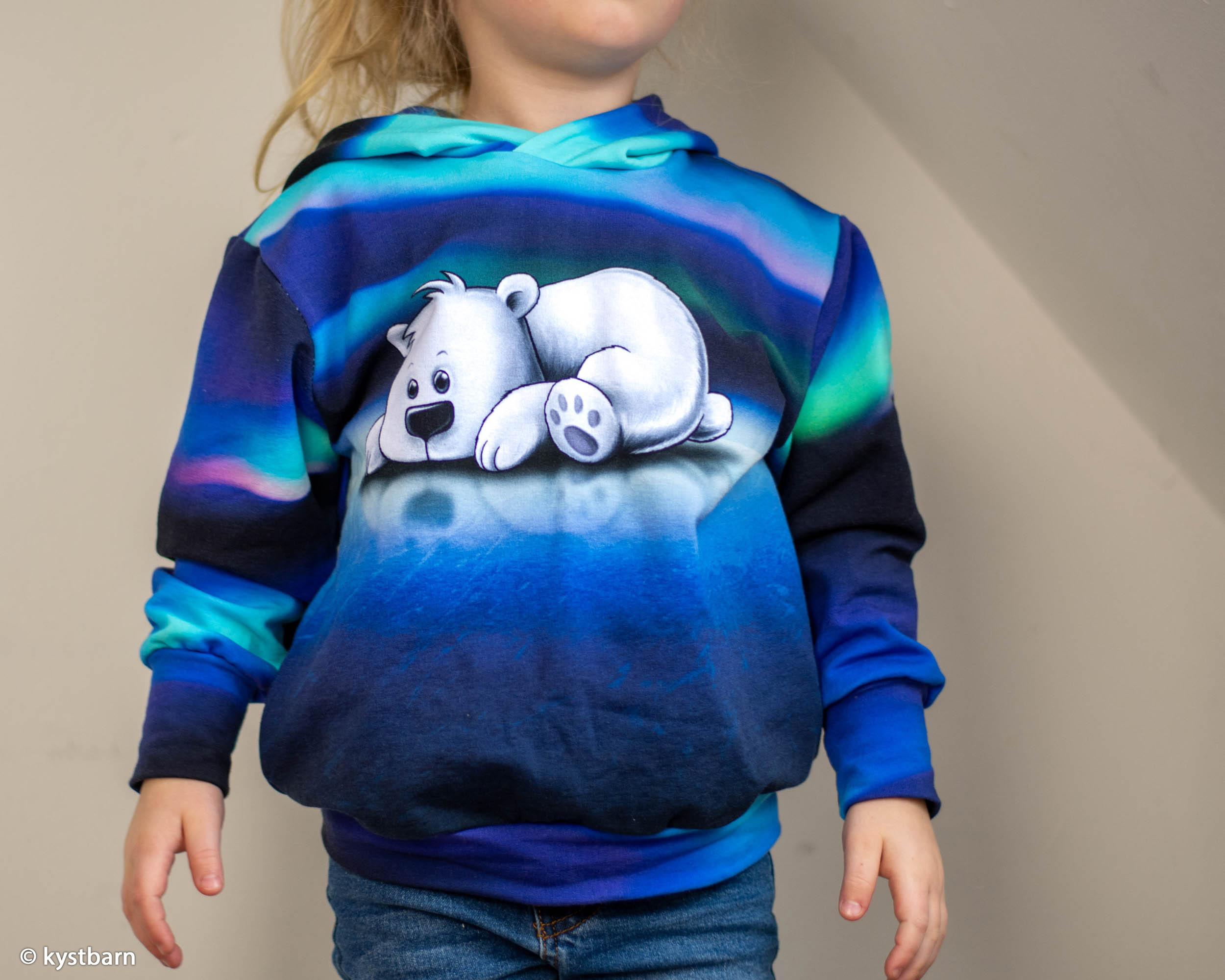 604299 Panel, Eisbär, Polarlichter, schwar