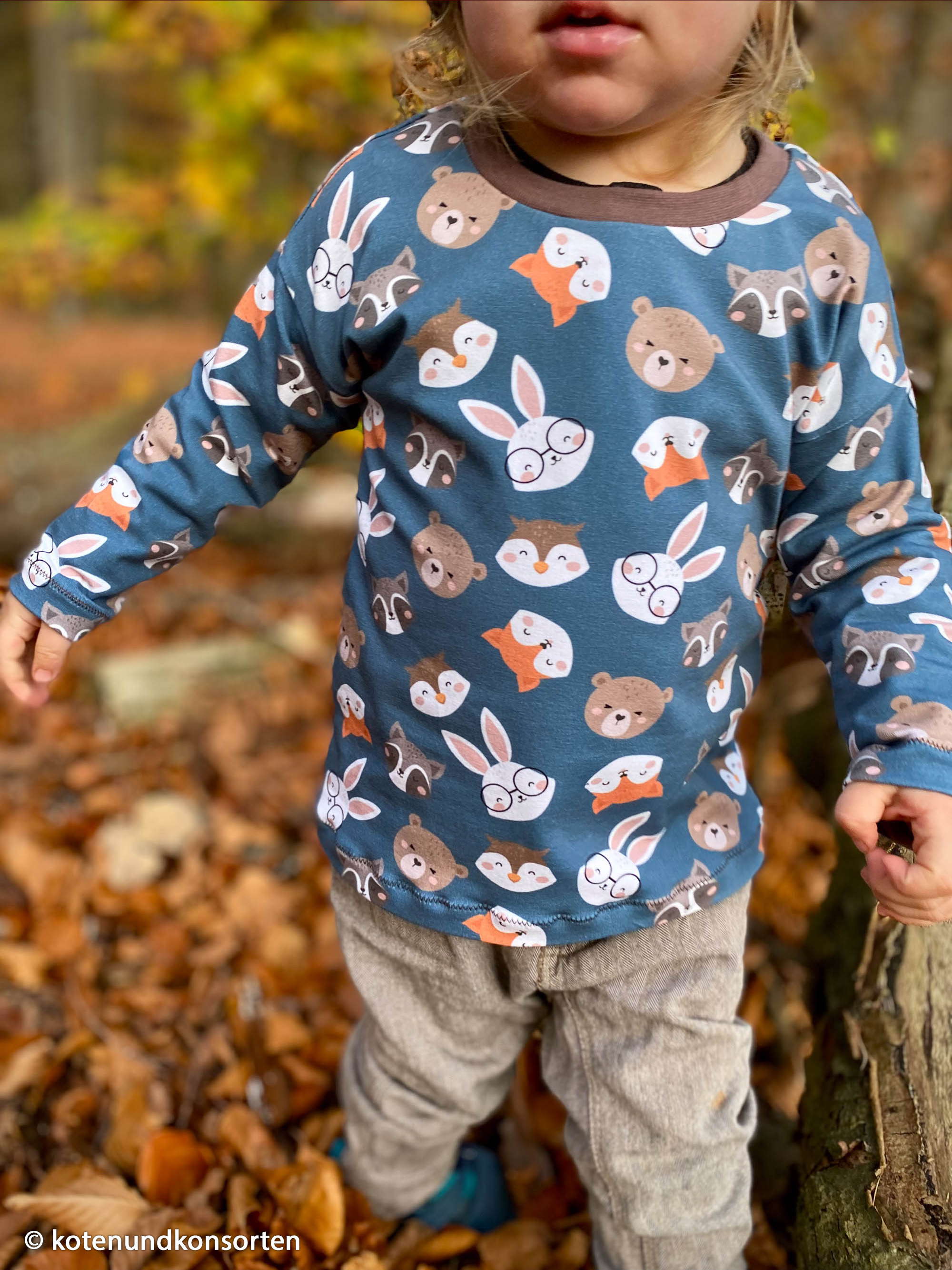 126258 Tiere, Köpfe, provincial blue