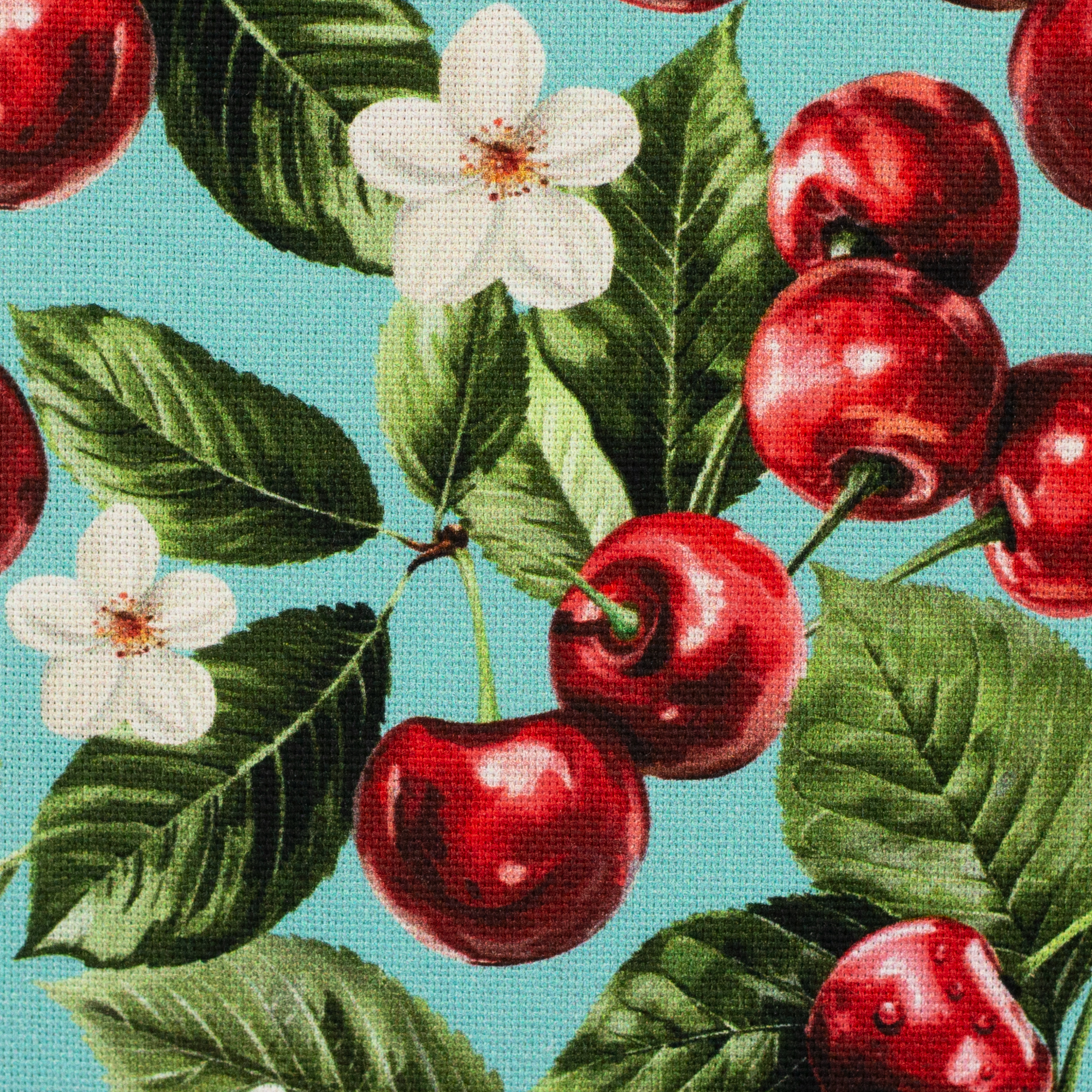 Matteo, Canvas Matteo – Detailansicht: Canvas mit Kirschen-Motiv in Rot/Mint (555263), 10 cm-Ausschnitt