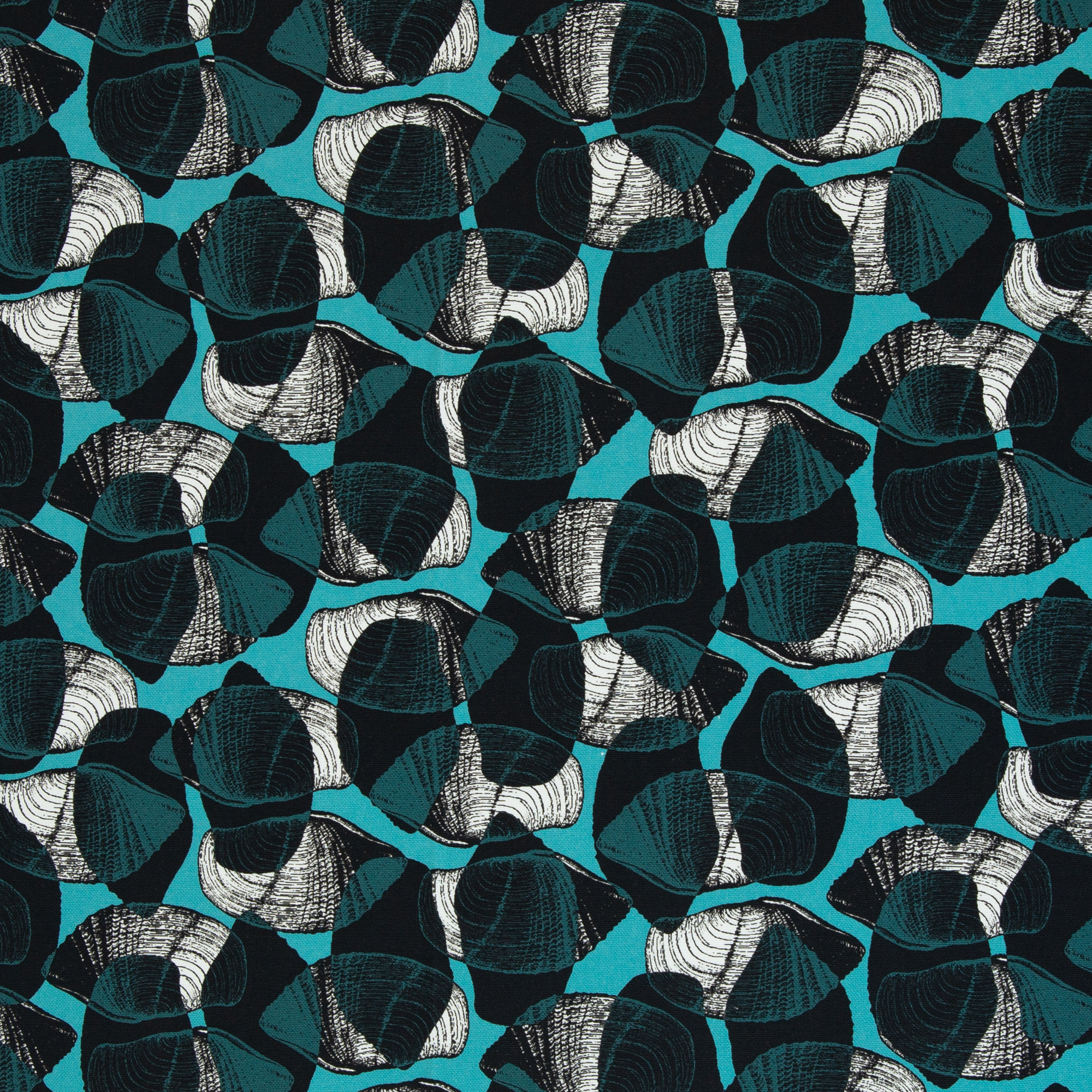 Shells by Thorsten Berger, Canvas