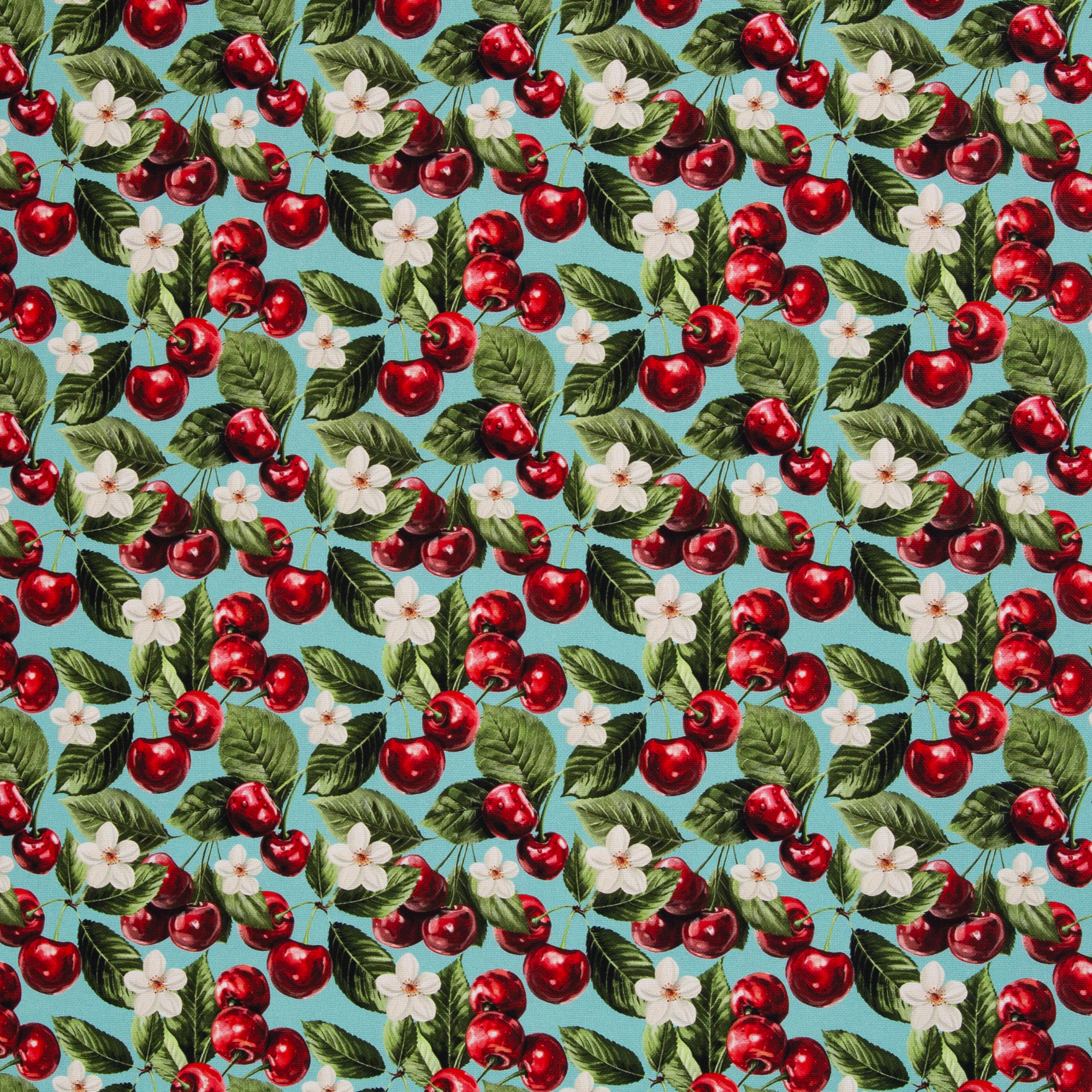 Matteo – Canvas mit Kirschen-Motiv in Rot/Mint (555263), 40 cm-Ausschnitt