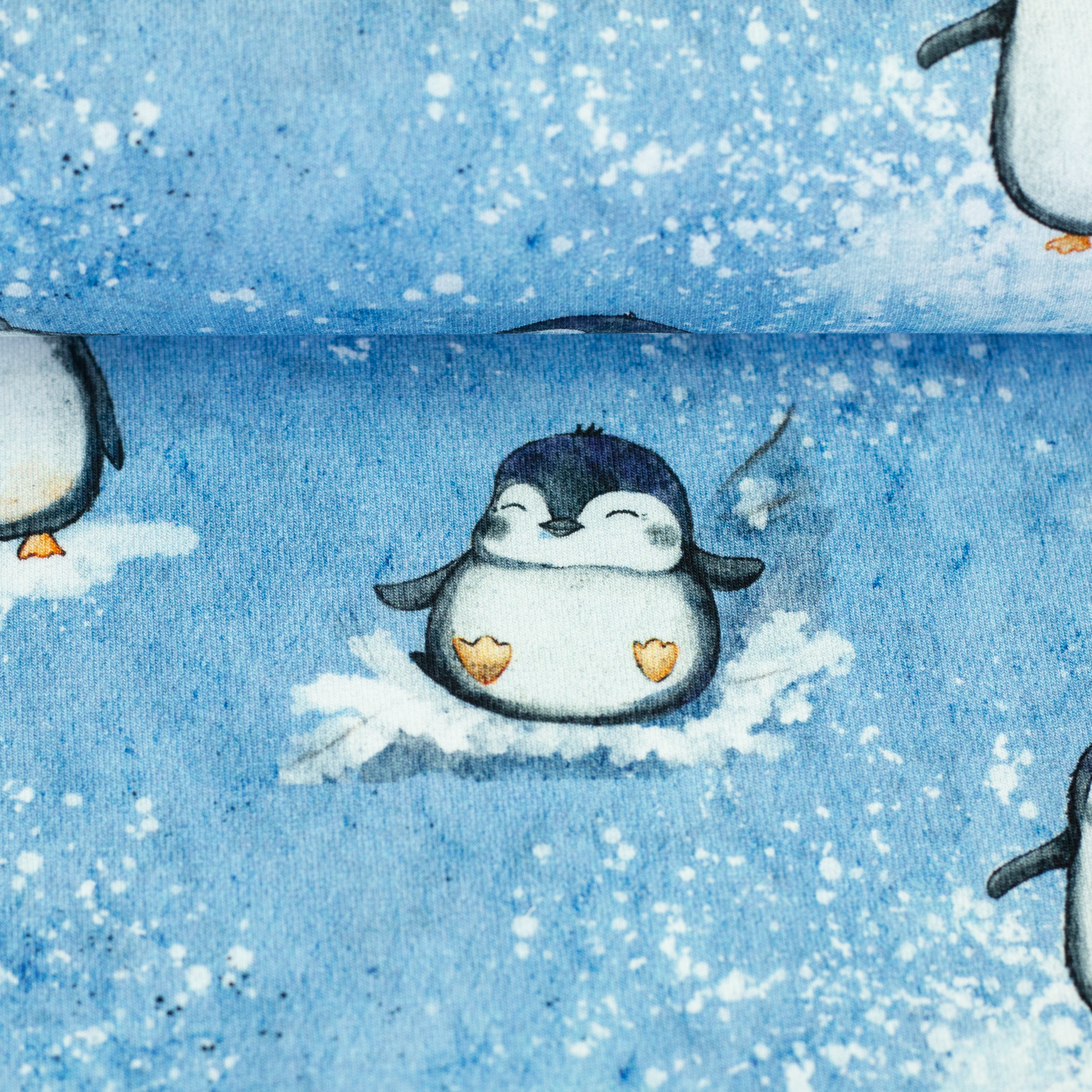 Arctic by Christiane Zielinski, French Terry