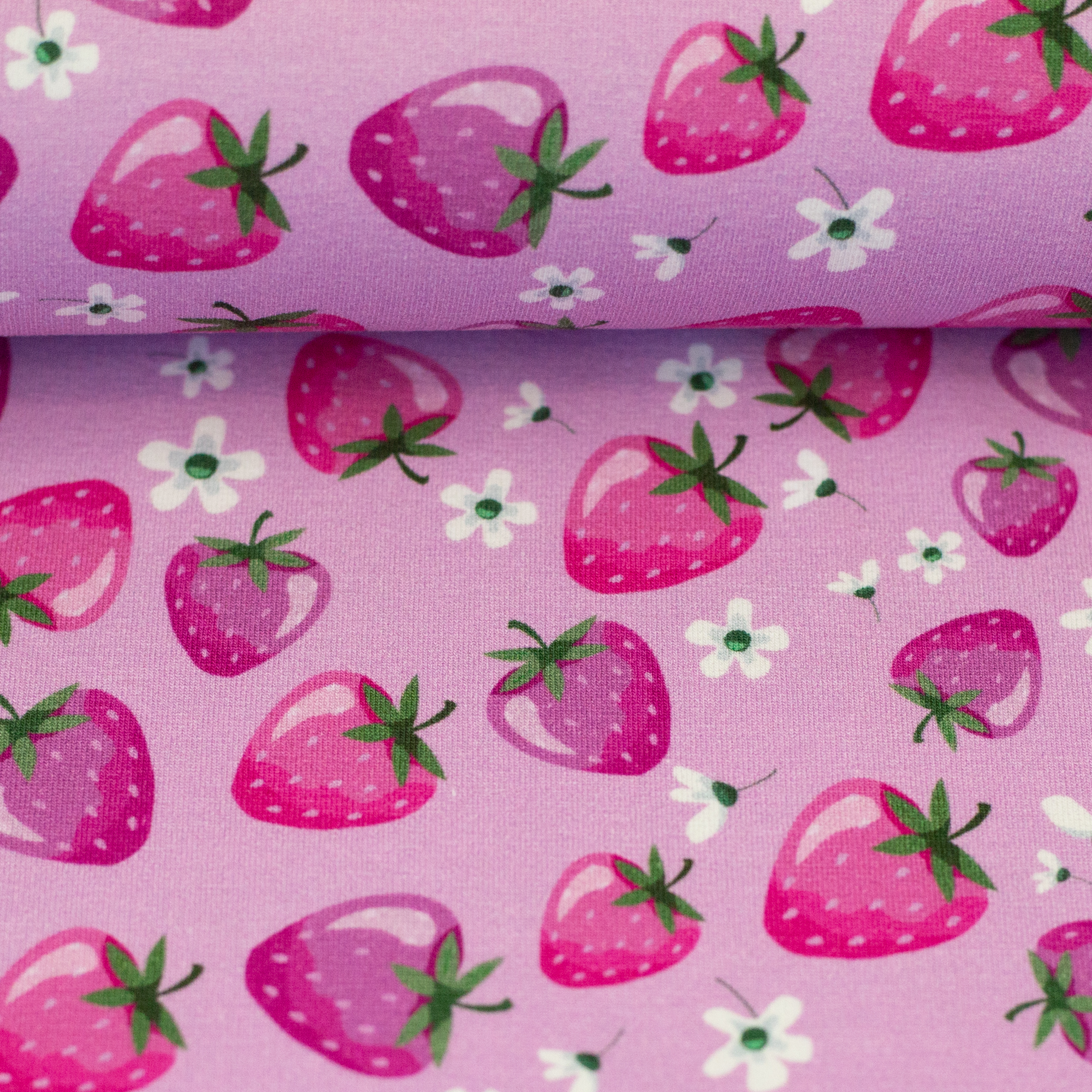 Melody, Jersey Baumwolle