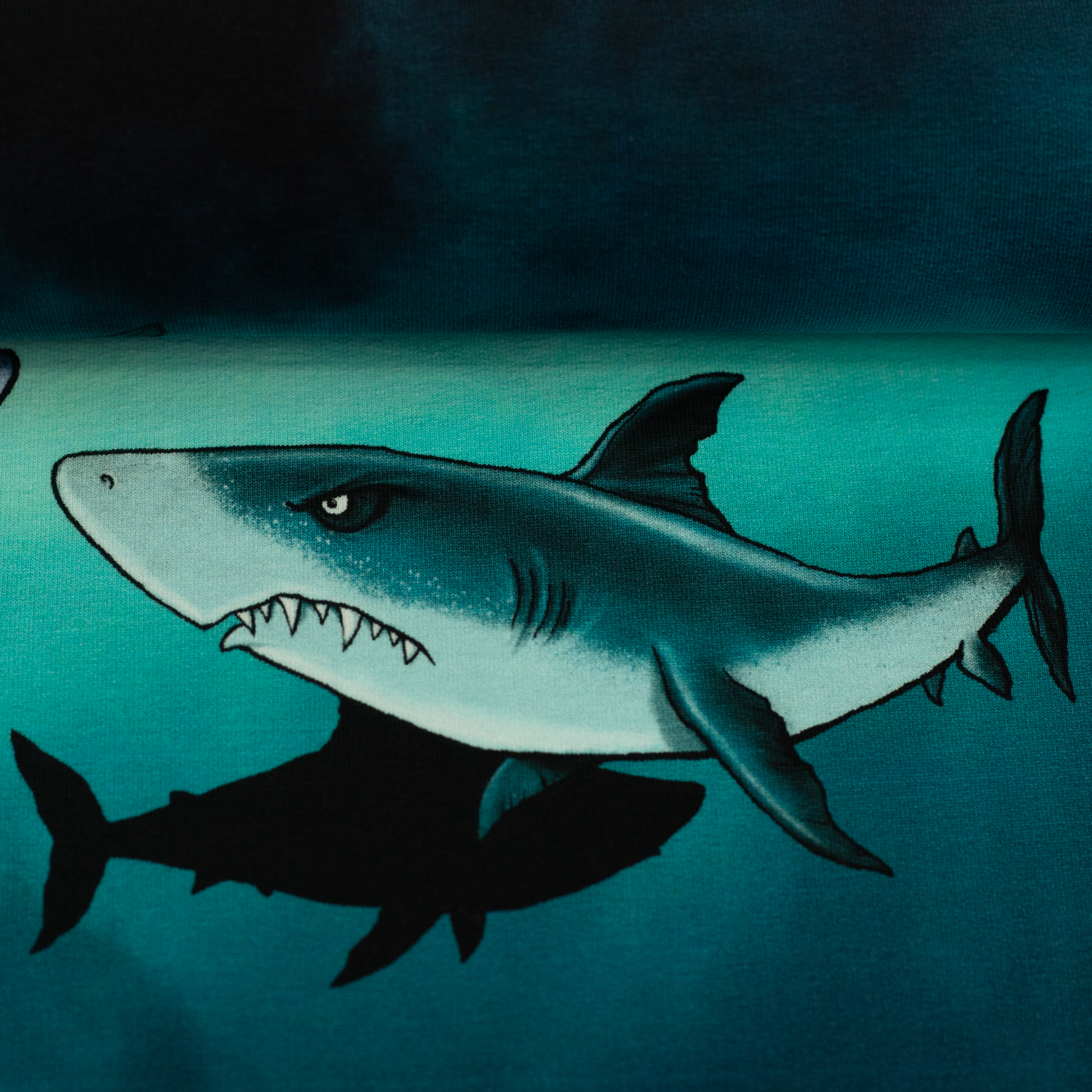 Shark Tank by Thorsten Berger, French Terry