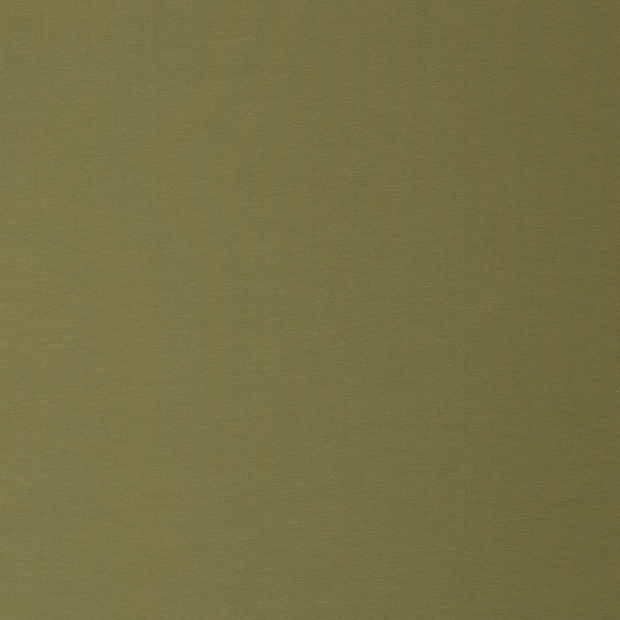 17-0625 pistazie