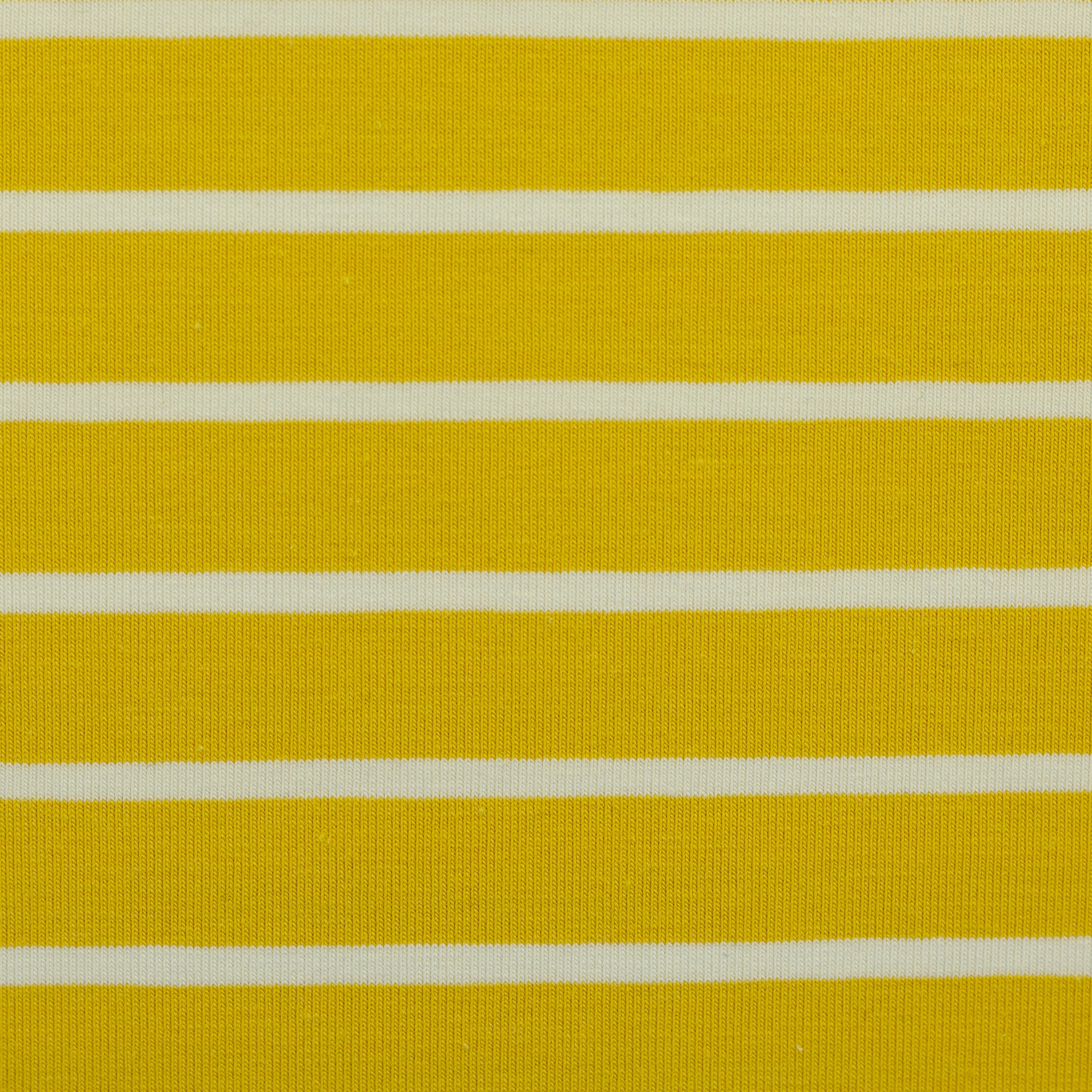Isa FS26 – cotton jersey in natural white (ecru), 10 cm close-up