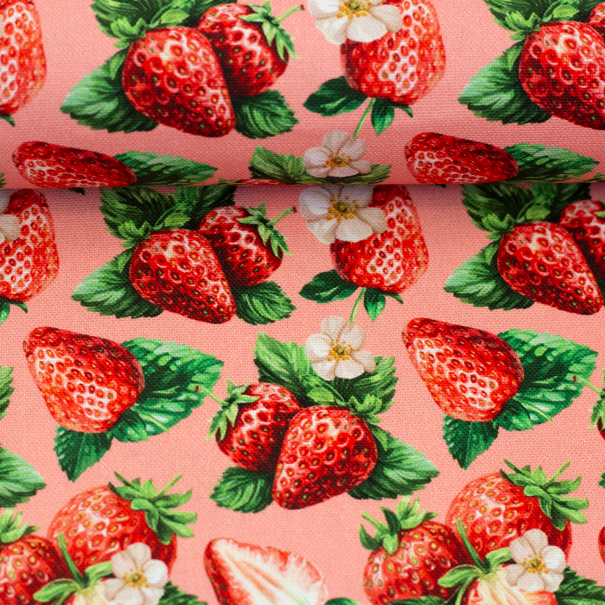 Matteo, Canvas Matteo – Canvas mit Erdbeeren-Motiv in Rot/Rosa (559432), Stoffballen, Meterware für B2B-Kunden