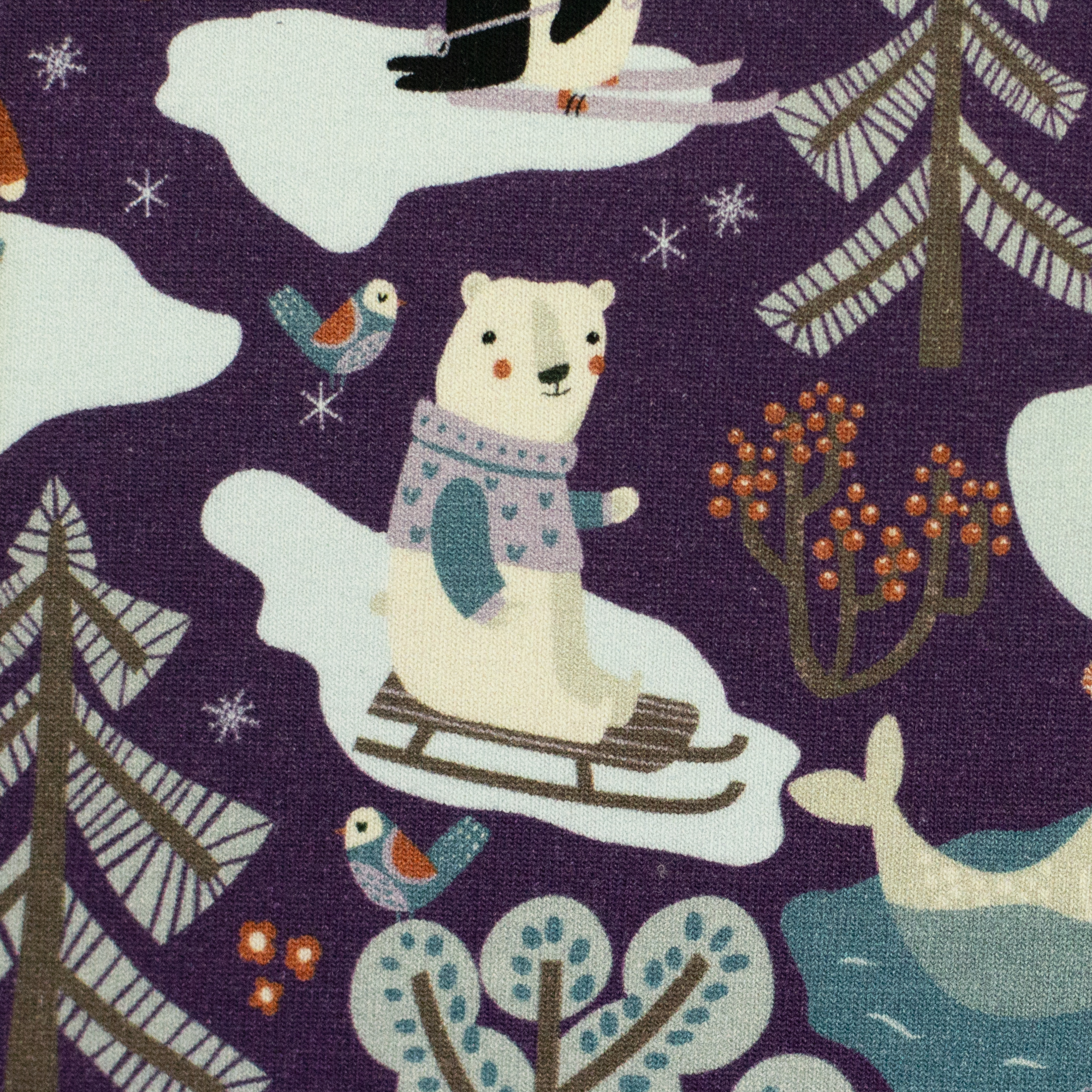 Polar Playtime by Bienvenido Colorido, French Terry