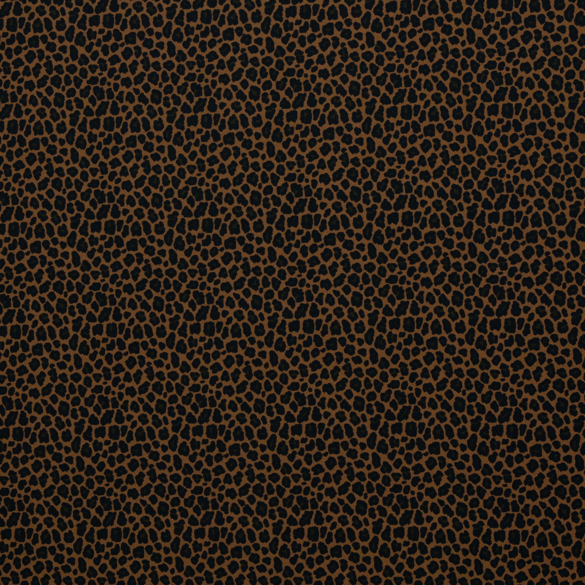 Theo, Jersey Baumwolle