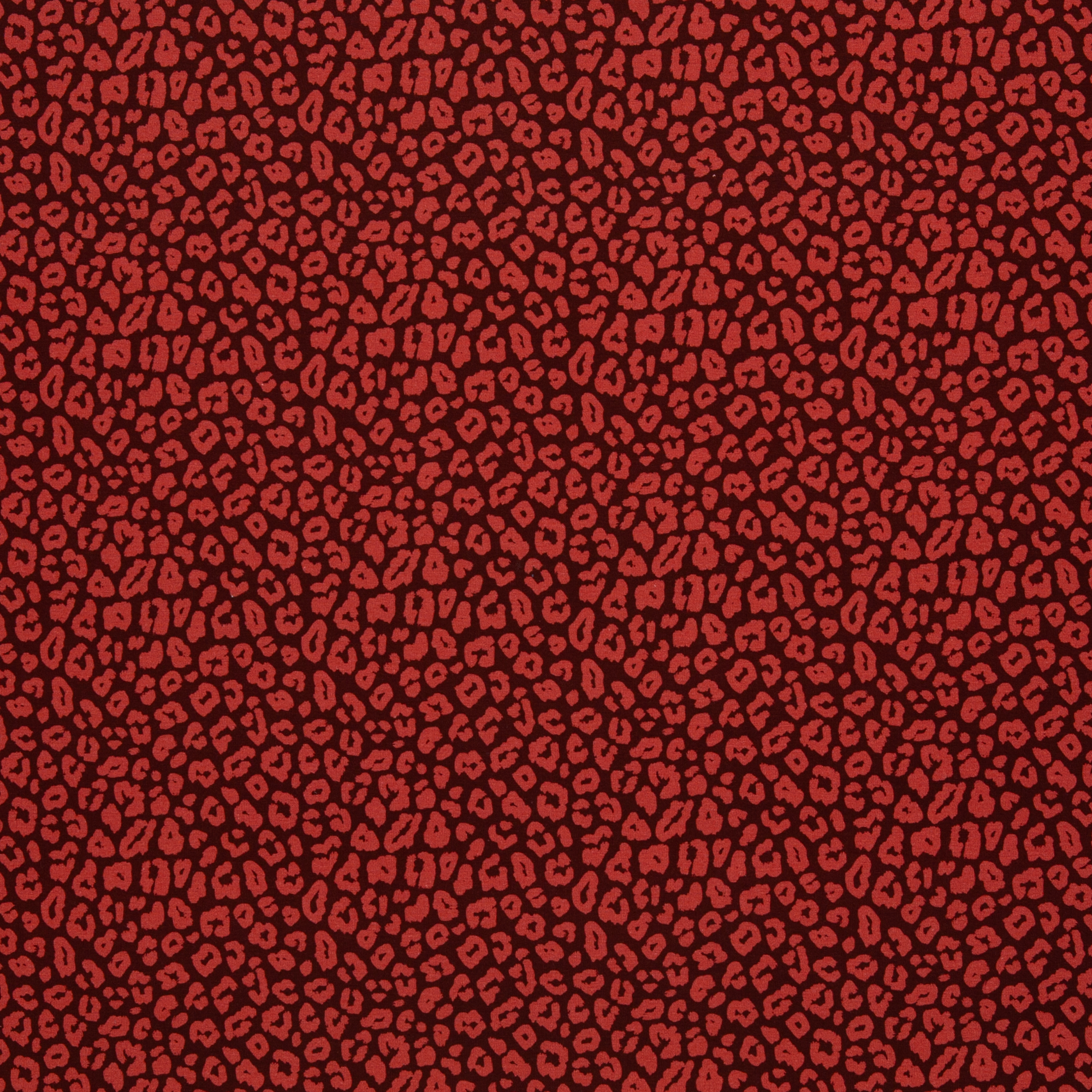 Cleopatra, Cotton Jersey