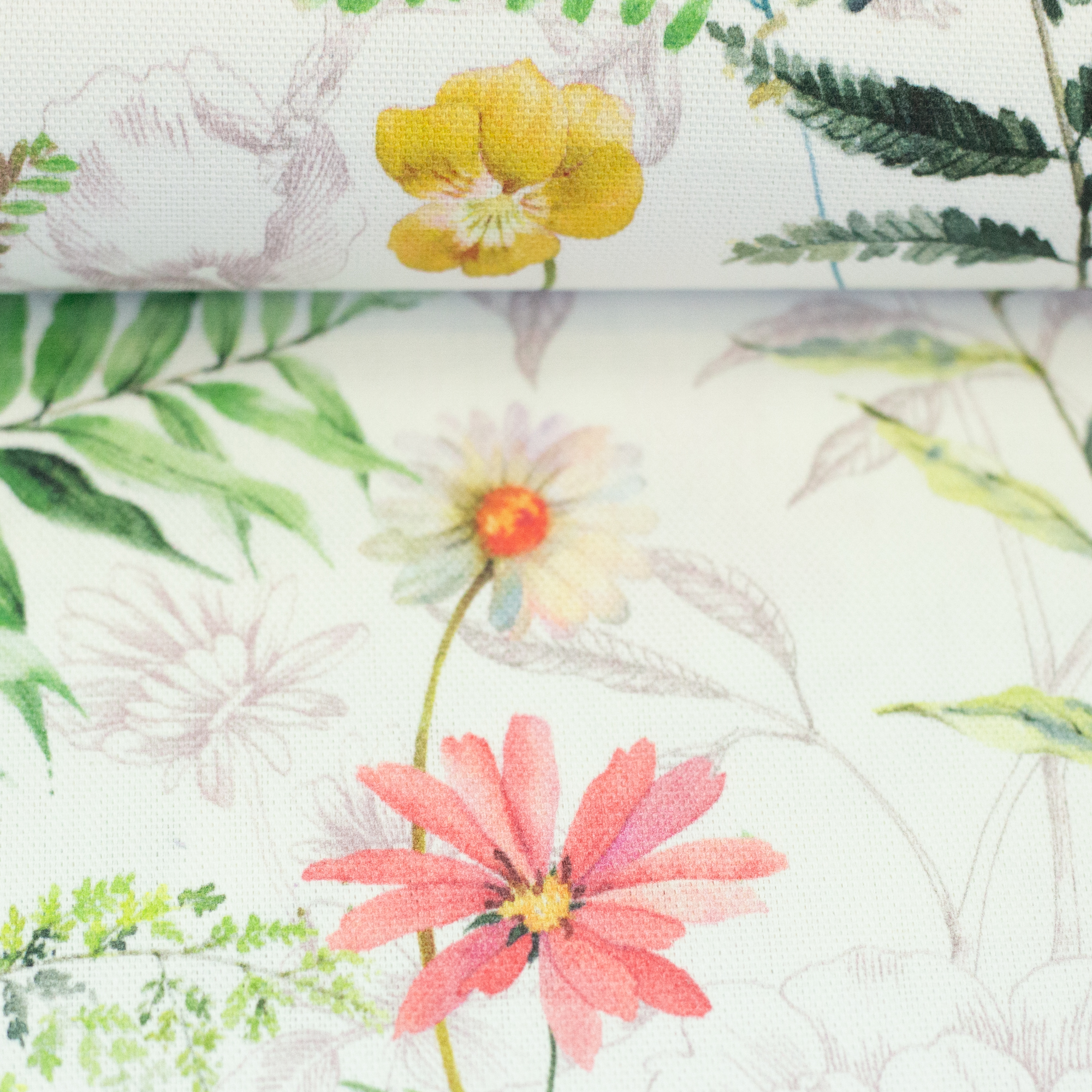 Laura *beschichtet*, beschichtete Baumwolle