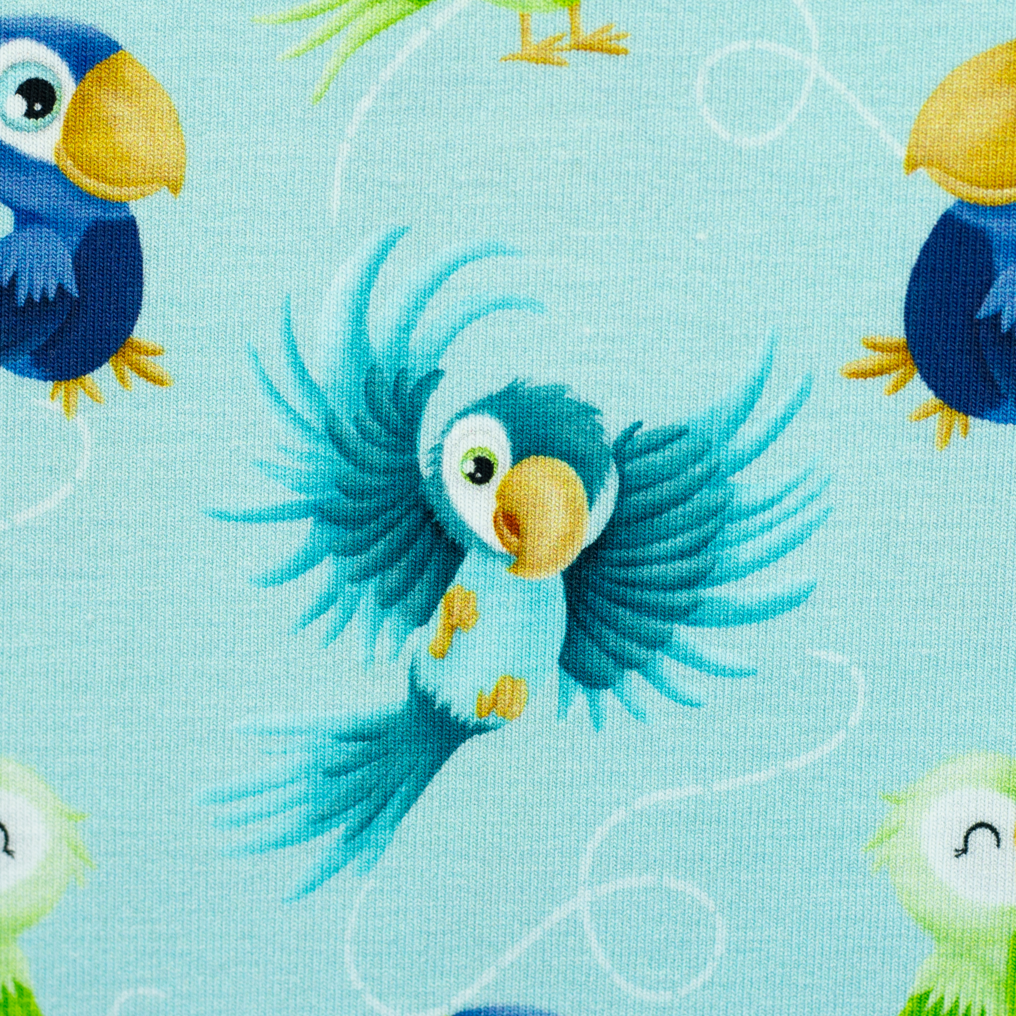 806251 Papageien, hellblau