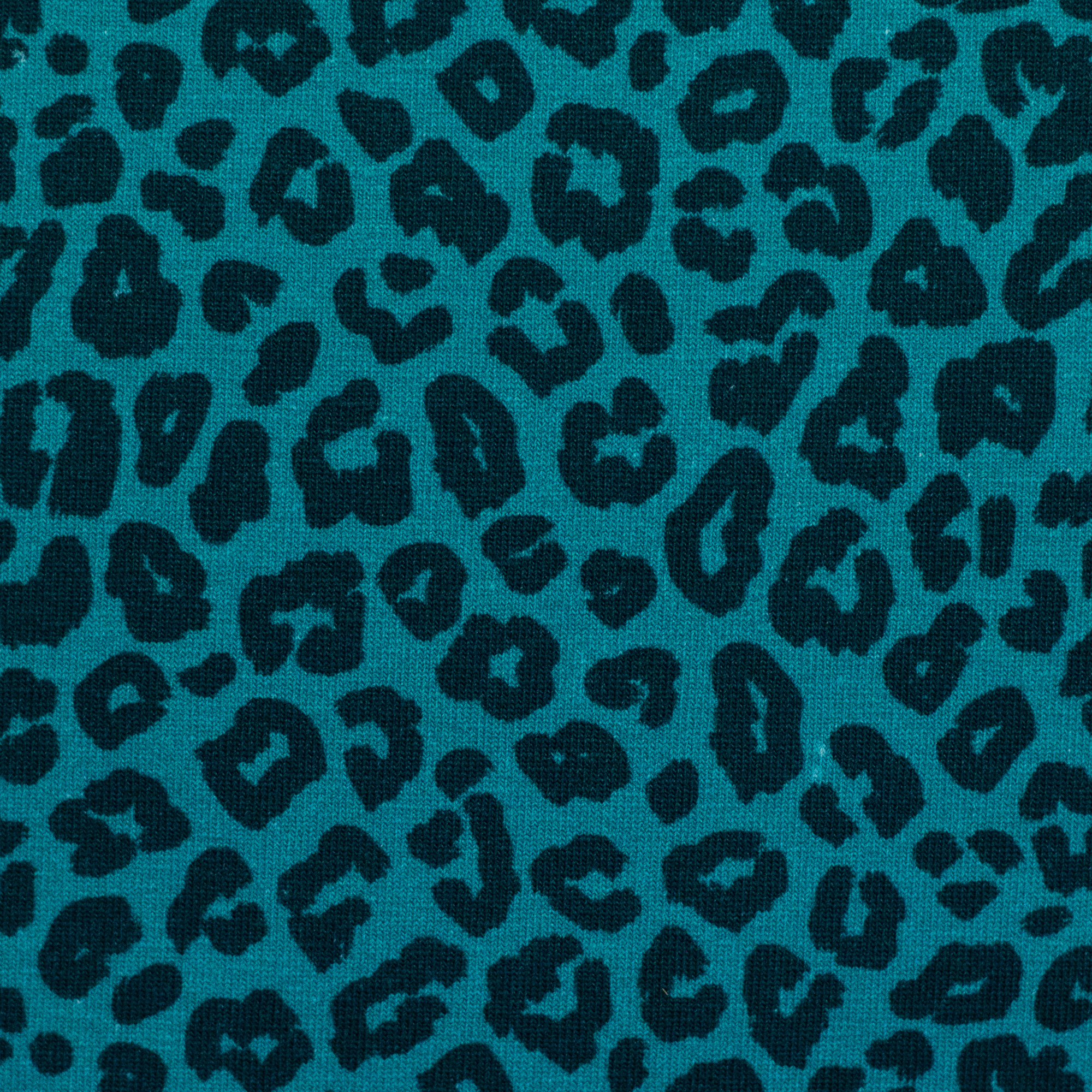 Cleopatra, Cotton Jersey