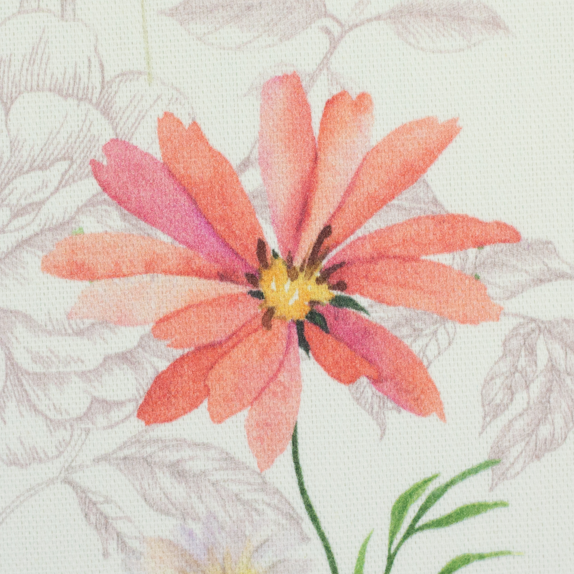 Laura *beschichtet*, beschichtete Baumwolle