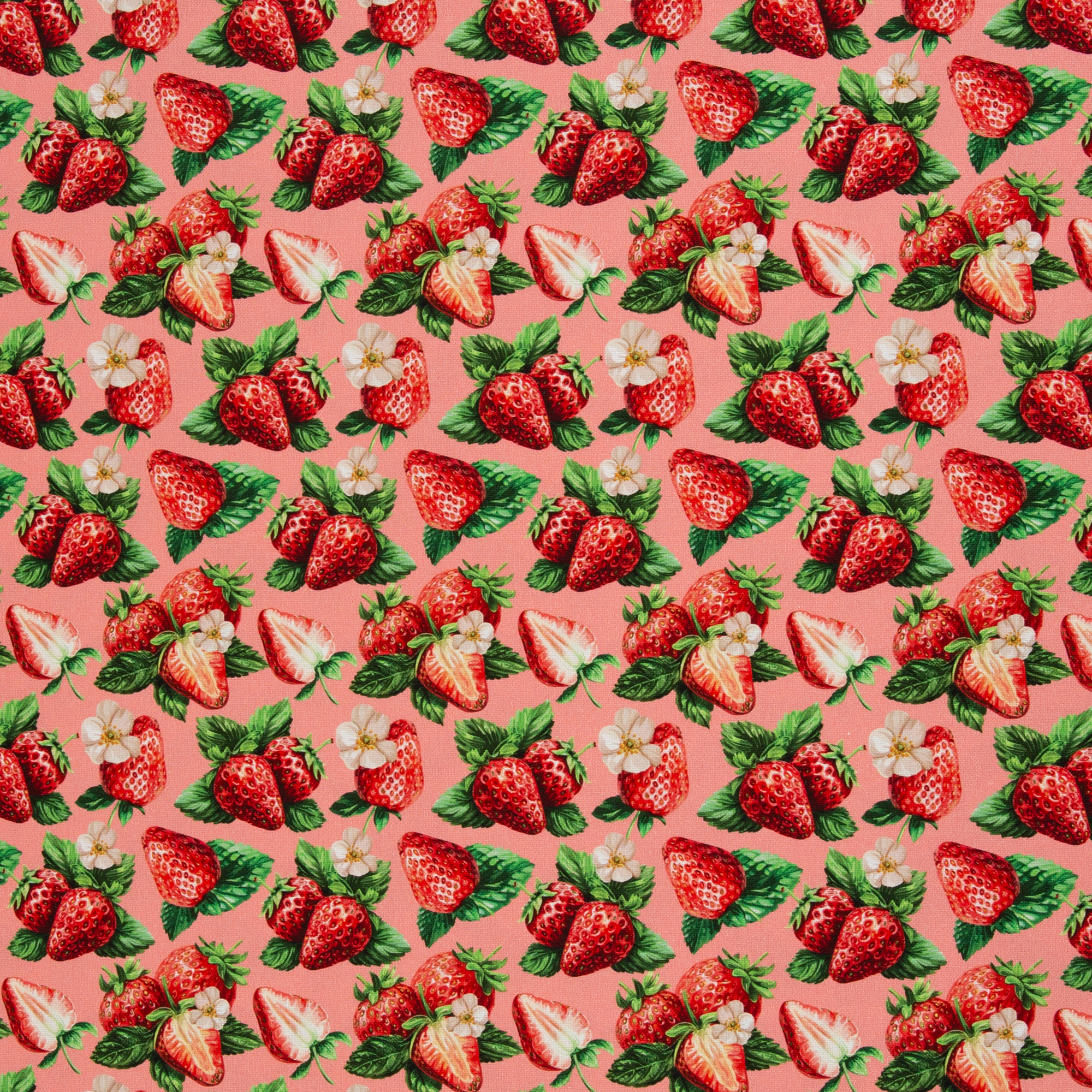 Matteo – Canvas mit Erdbeeren-Motiv in Rot/Rosa (559432), 40 cm-Ausschnitt