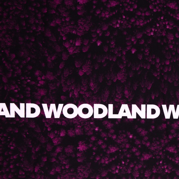 Woodland by Thorsten Berger, French Terry
